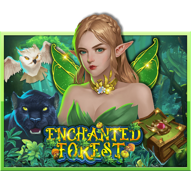 Enchanted Forest