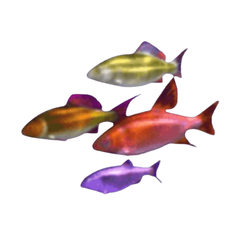 Dolphin's Pearl Deluxe เกมสล็อตออนไลน์ ธีมใต้ท้องทะเล 9 Dolphin_s_Pearl_Deluxe_ปลาเล็ก